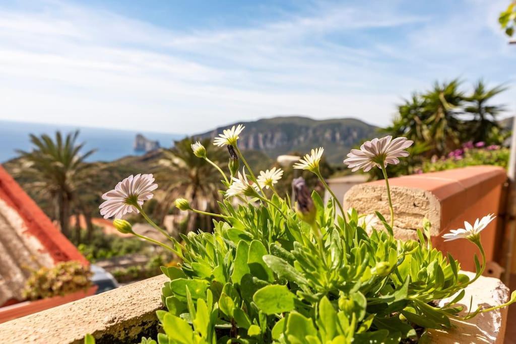 Vista Sul Pan Di Zucchero - Nebida - Holiday House Екстер'єр фото